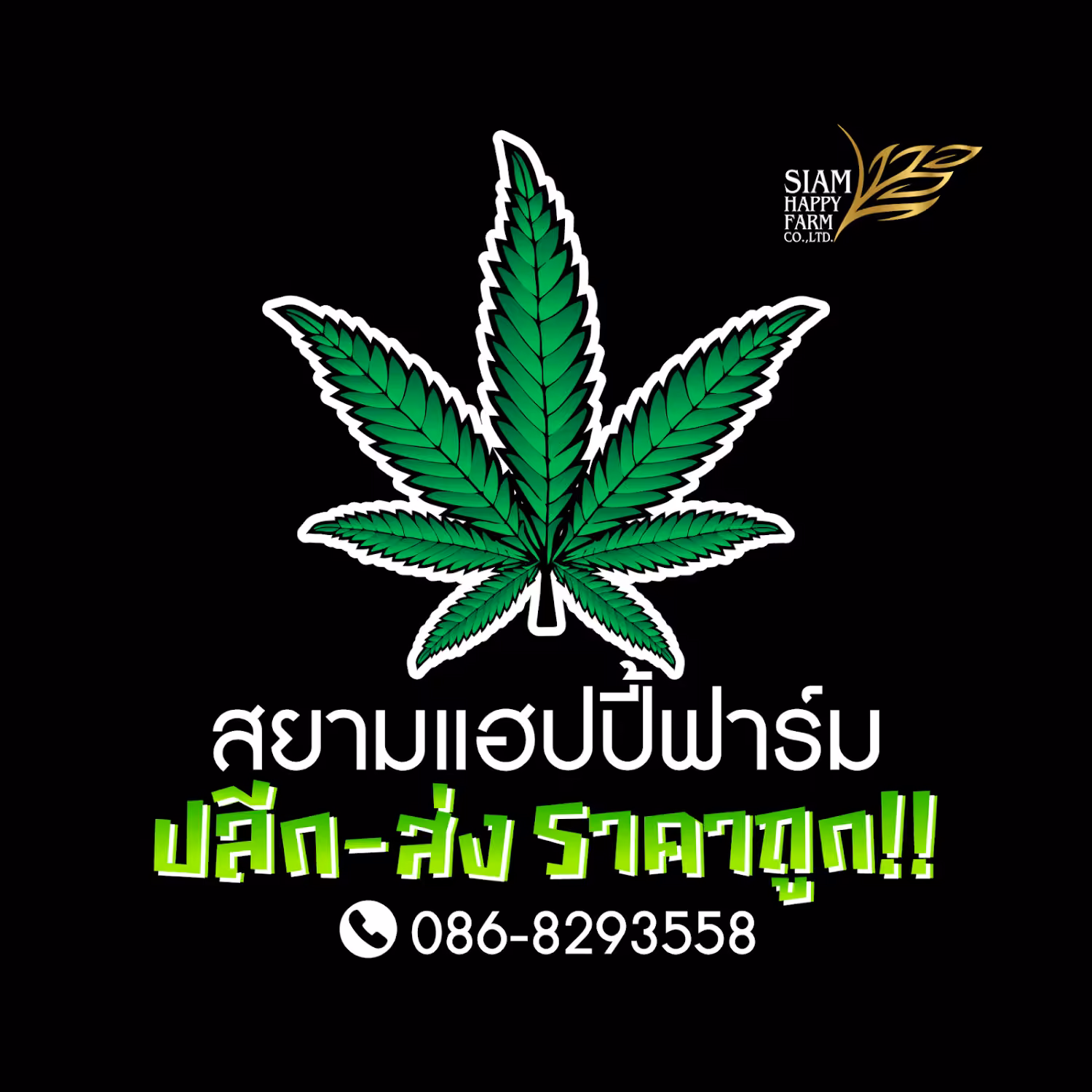 कैनबिस डिस्पेंसरी Siam Happy Farm लोगो