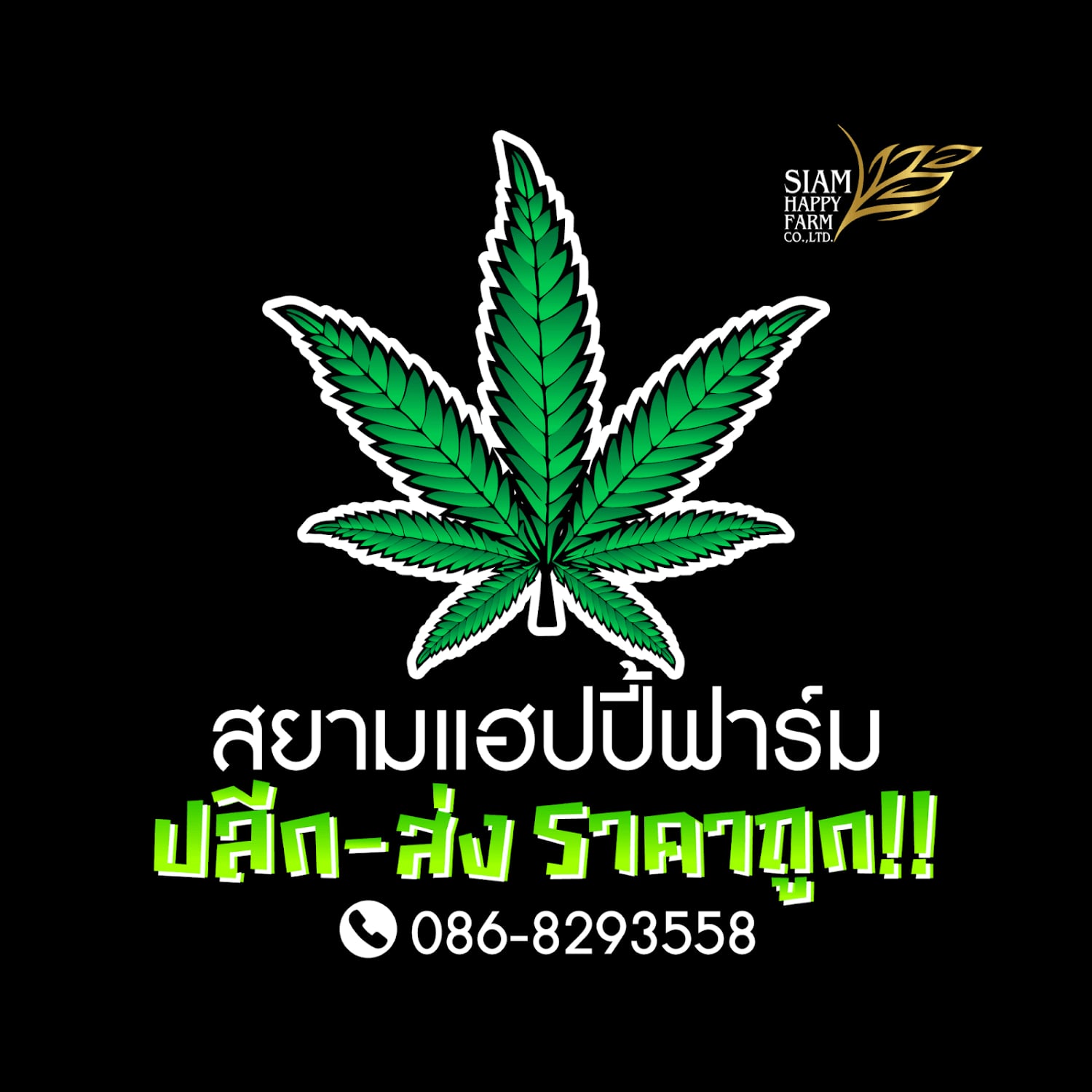 Pattaya में कैनबिस डिस्पेंसरी Siam Happy Farm लोगो