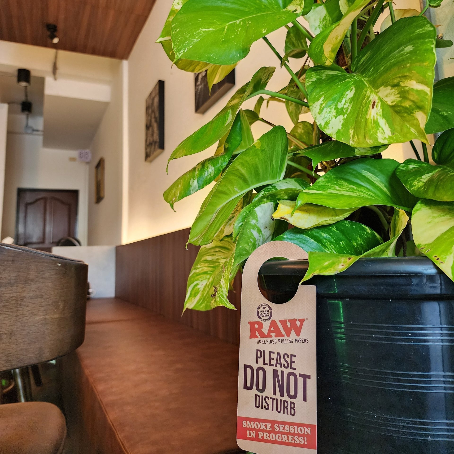 Mary Jane Buriram 1St Medical Cannabis Dispensary & Lounge In Buriram Ganja