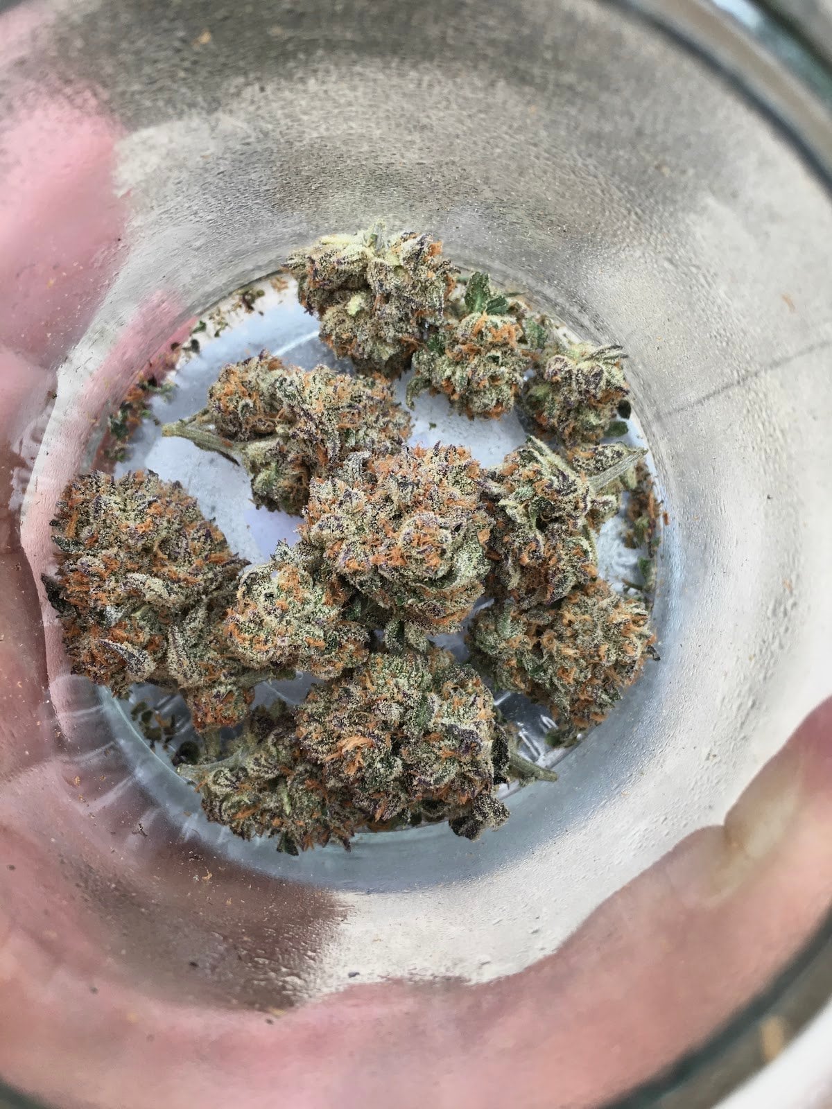 Kaengkhoi Cannabis