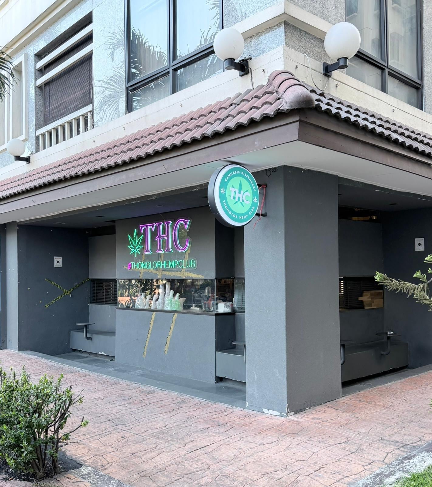 THC Thonglor Hemp