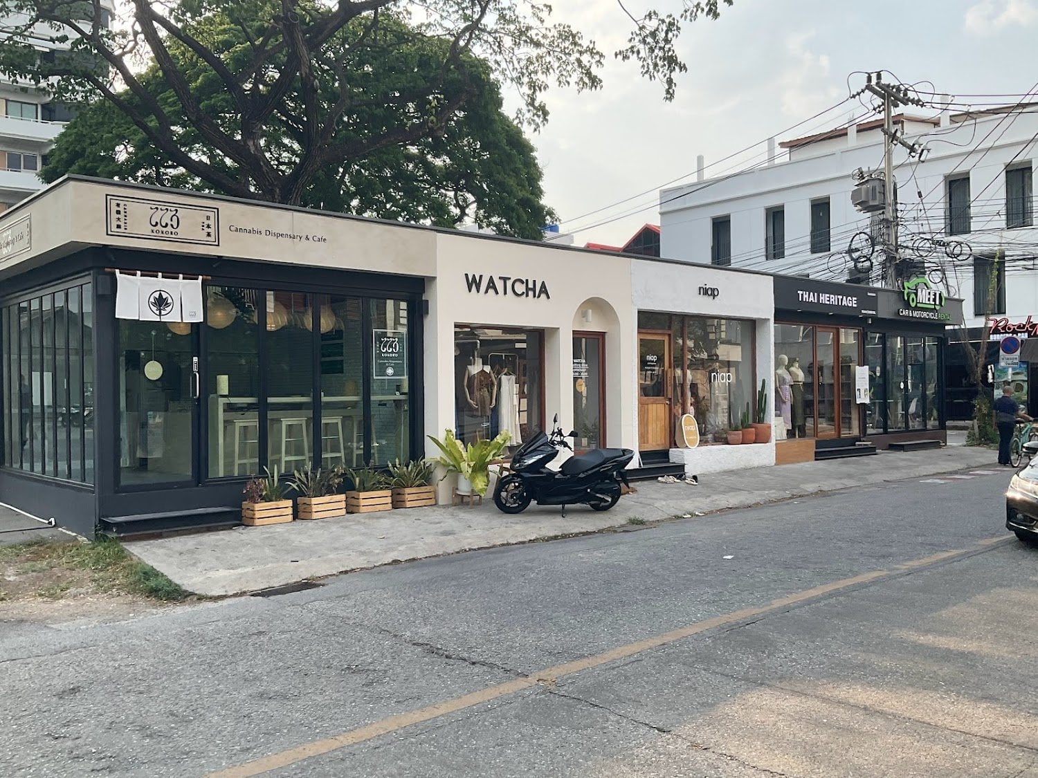 Kokoro: Weed Cafe Bar:cannabis ChiangMai