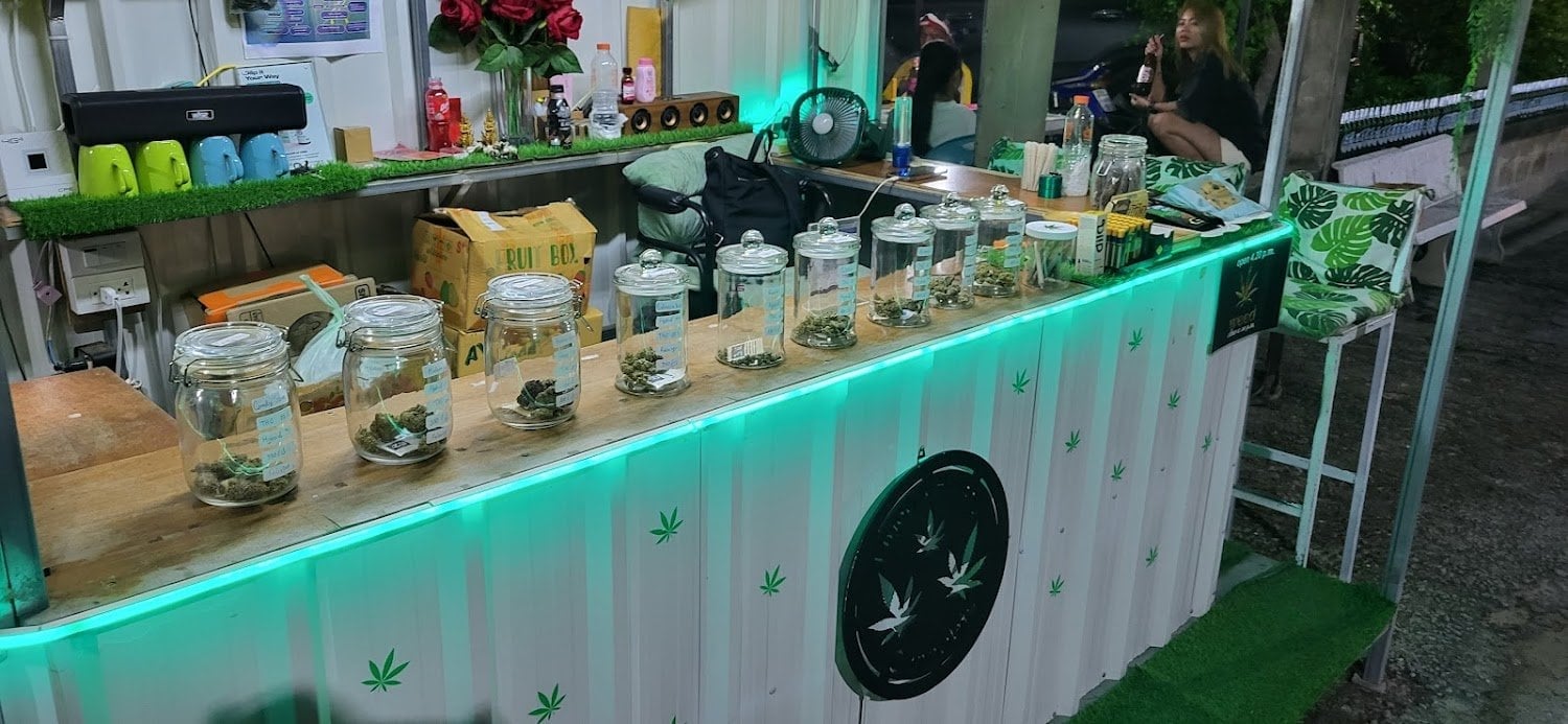 Enjoy & Healthy Cannabis