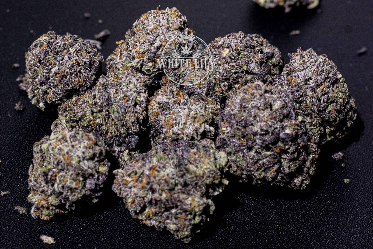 The Hidden Lounge By White Lily Cannabis And