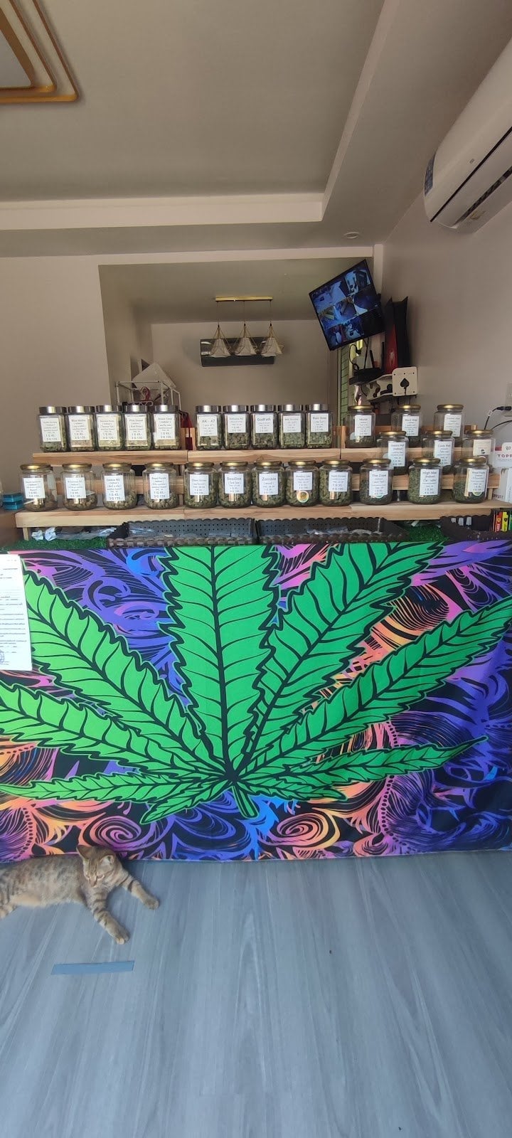 Sahai Ganja
