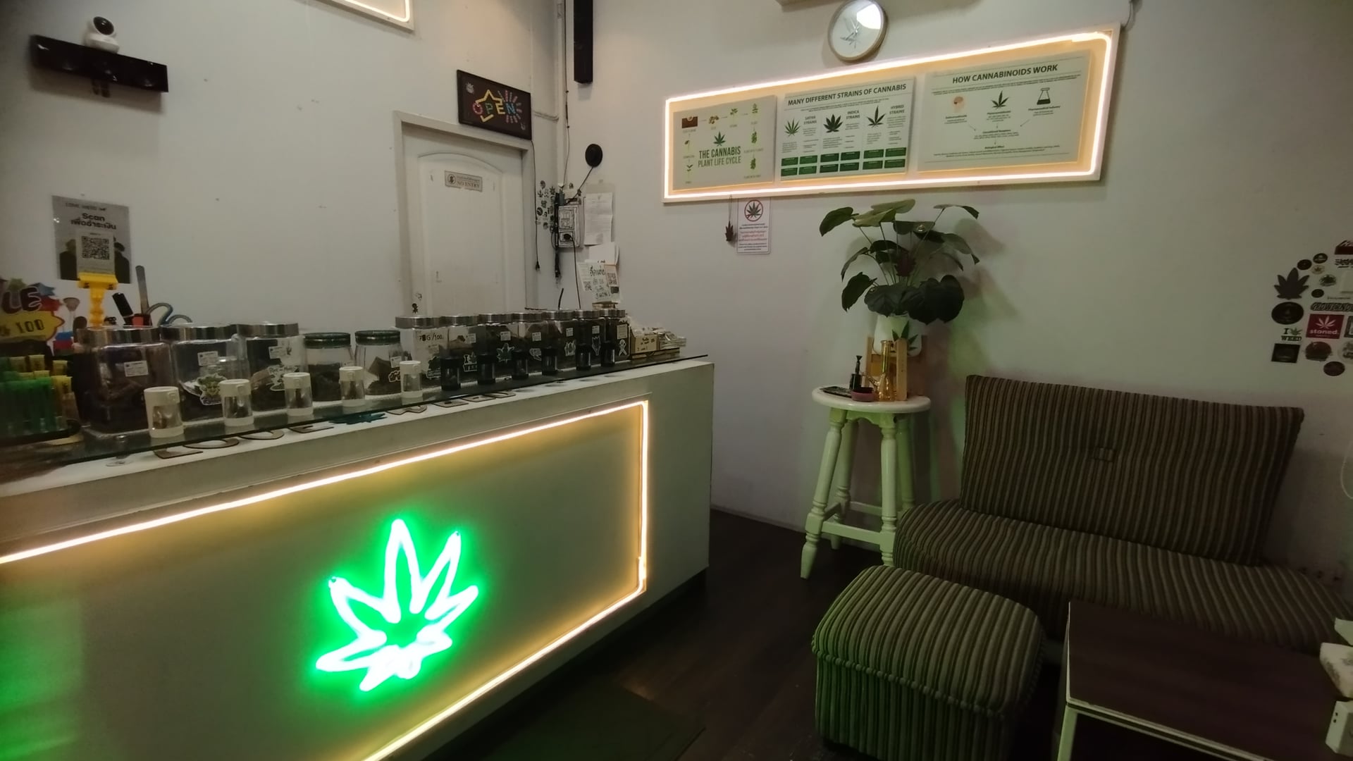 Weed Smile