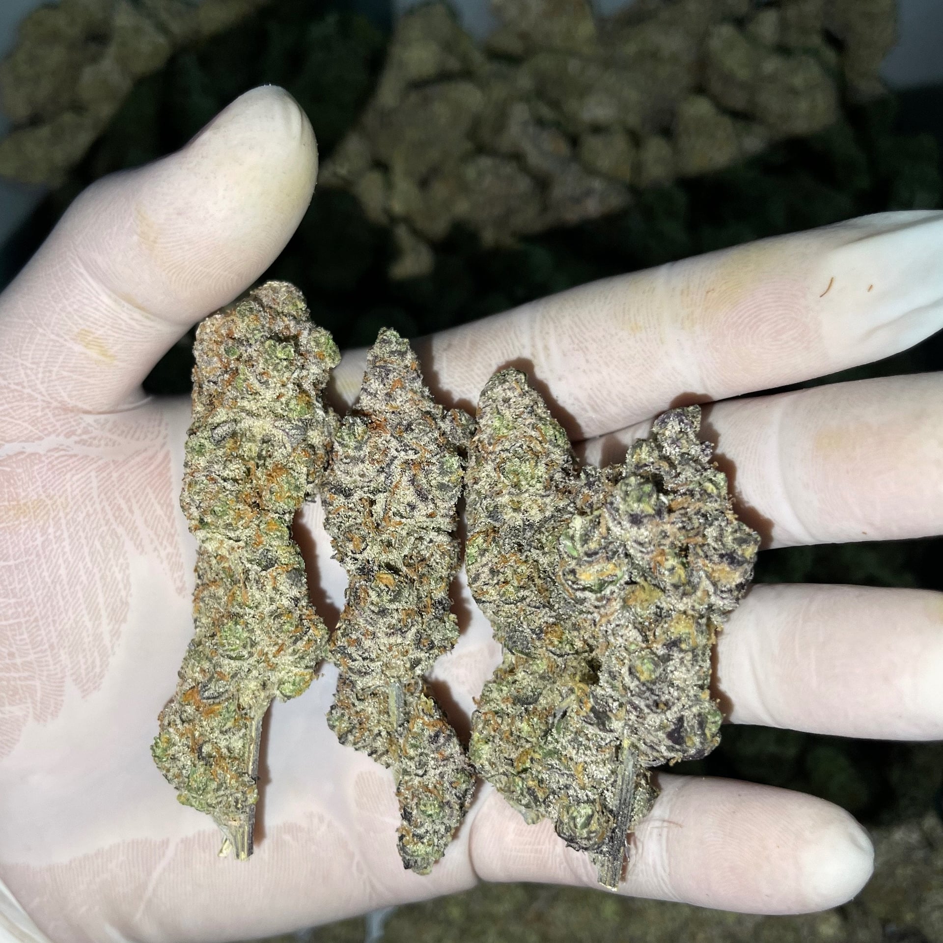 Vterps