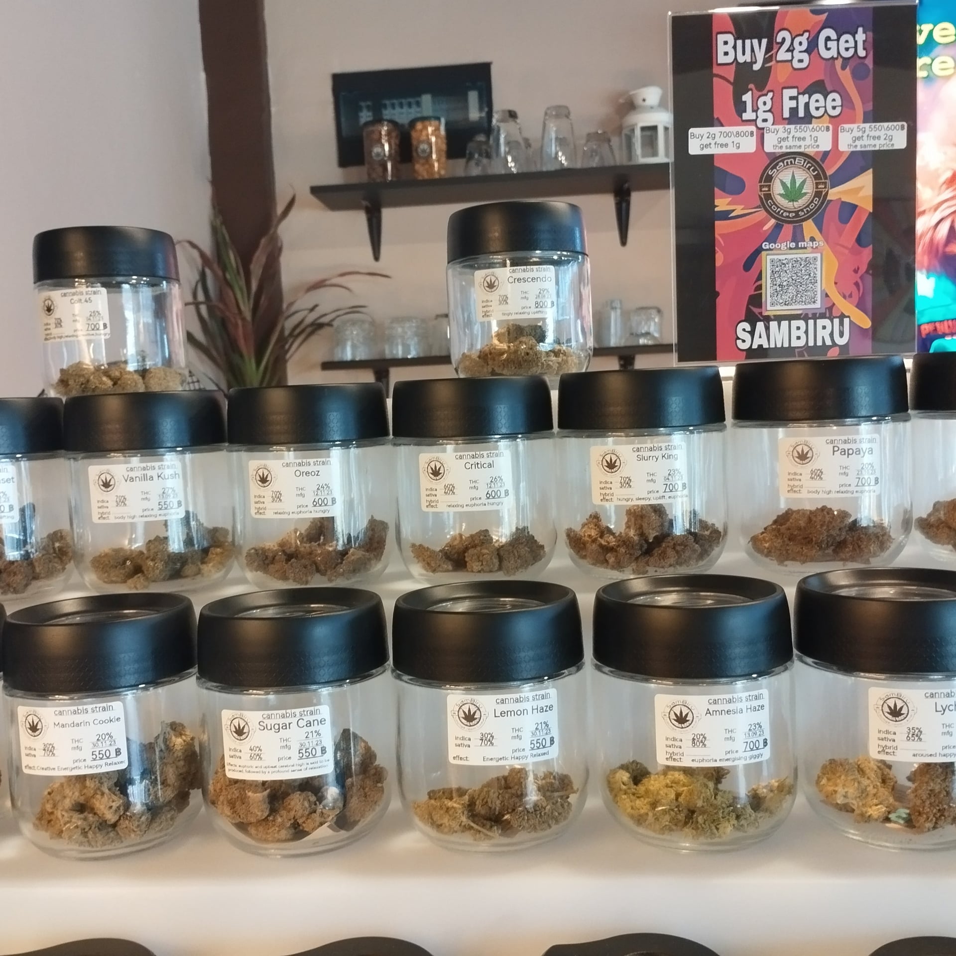 Sambiru, Cannabis Dispensary, Weed, Lamai