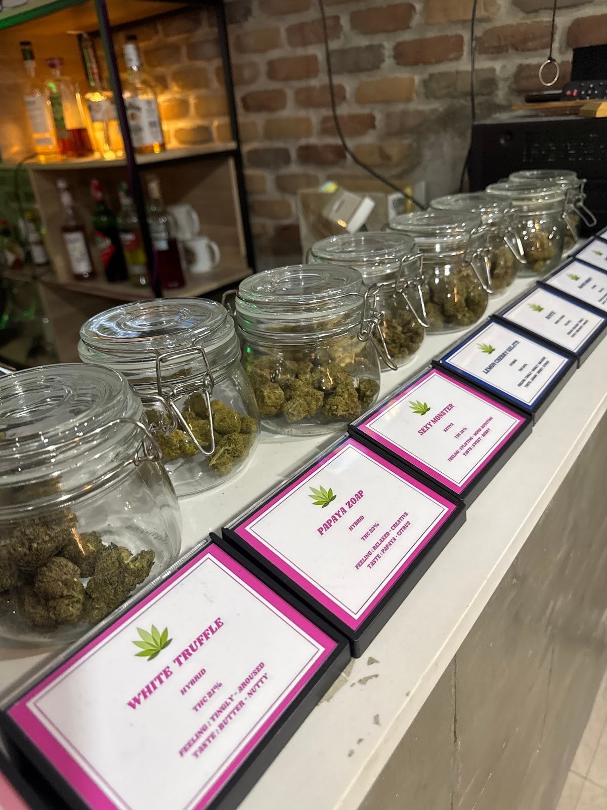 Highfly Cannabis & Drinks