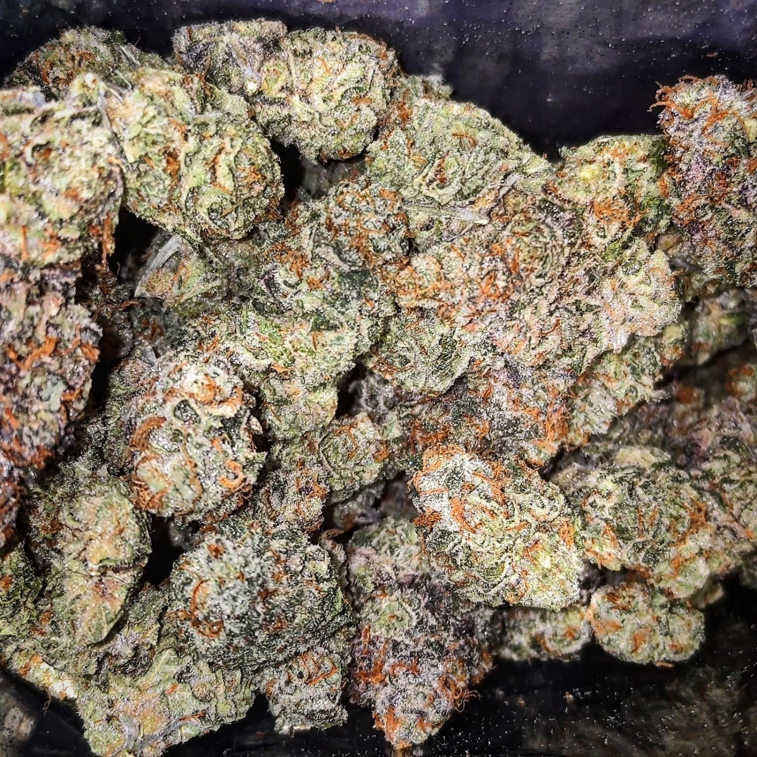 BitterBuds - Specialty Medical Cannabis