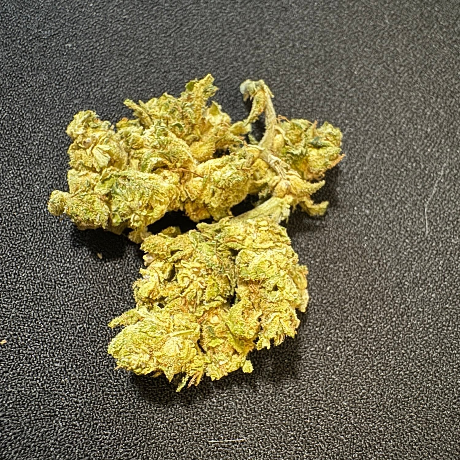 GoGreen By Kanya - Ruamchok Mall The Best Cannabis Weed And Dispensary Chiangmai