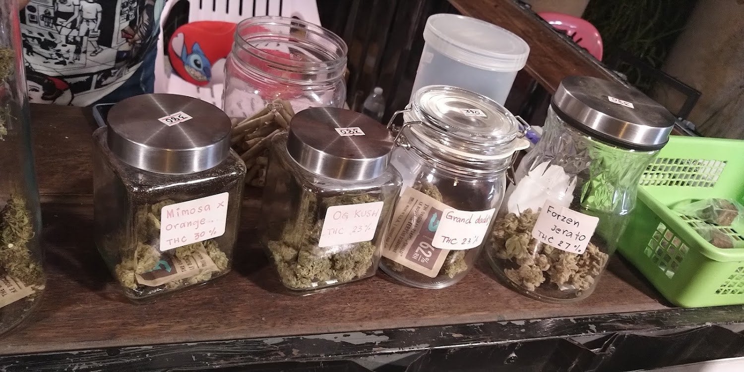 Green Cannabis Cafe )