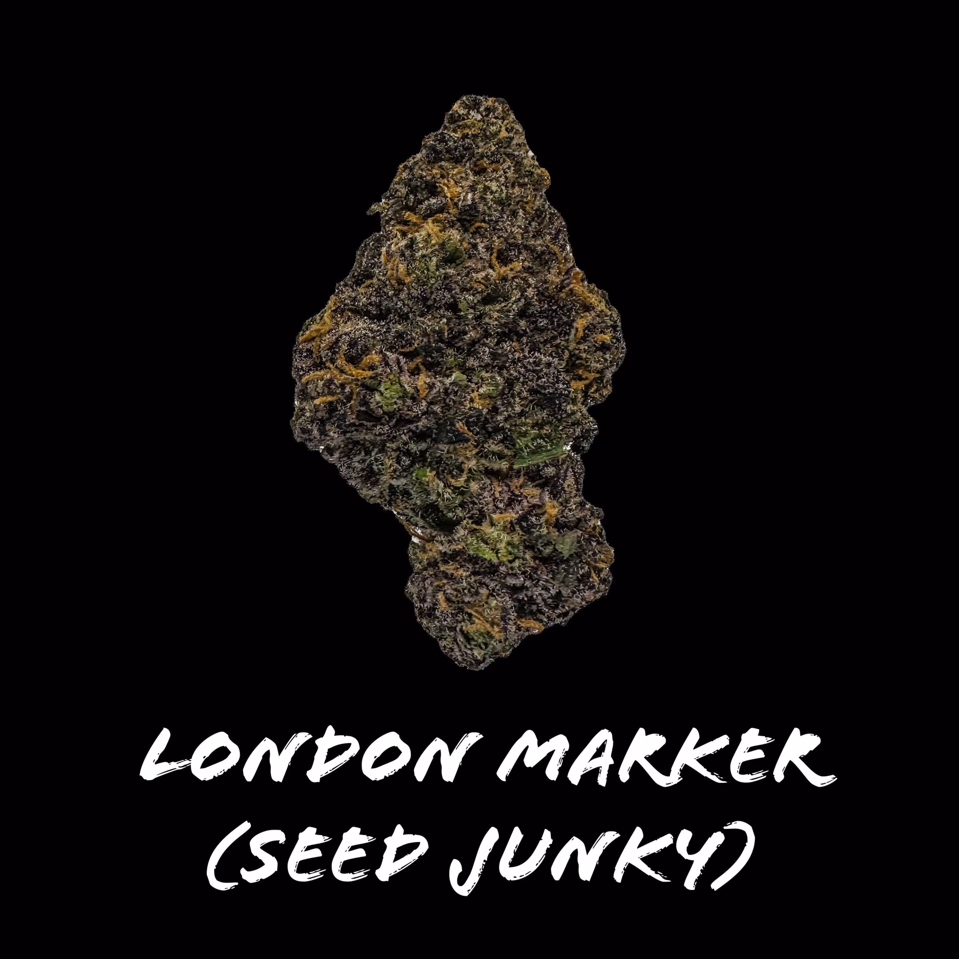Cannabis-Shop Beardog Weed Delivery in Bangkok Logo
