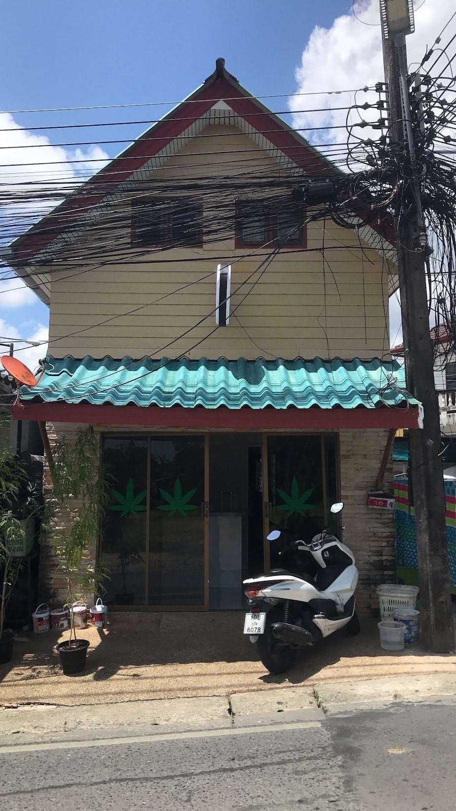 Cannabis House