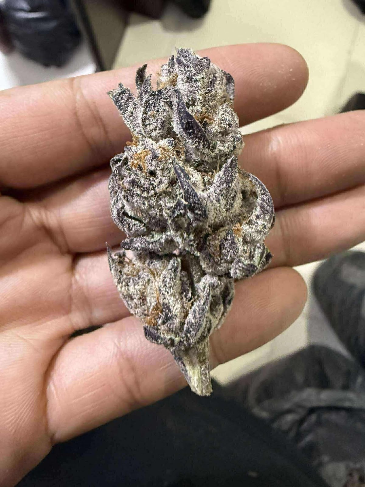 Cheap Weed Pattaya