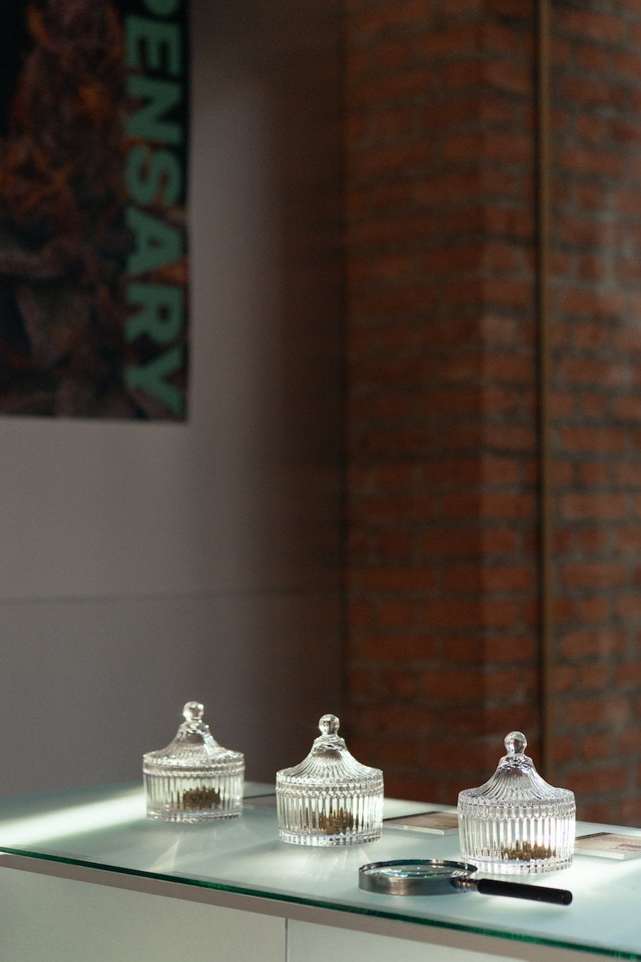 The Dispensary Nimman - Premium Cannabis