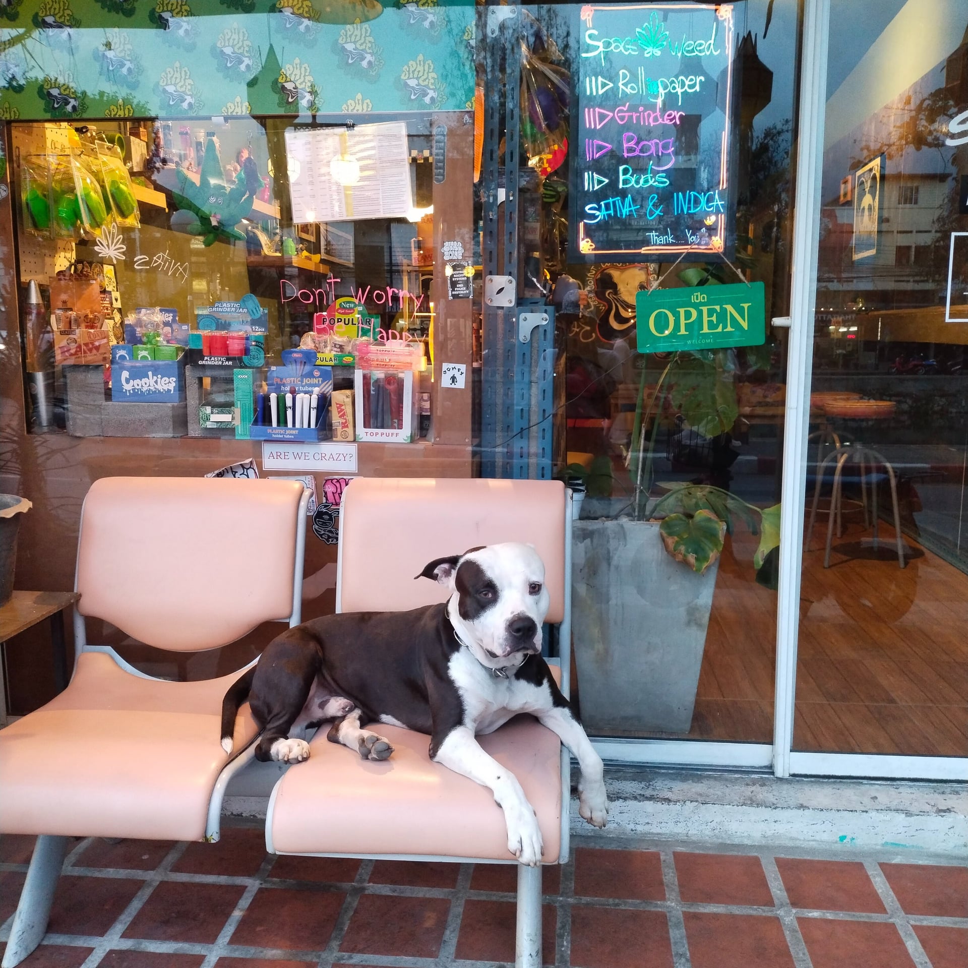 Space Weed