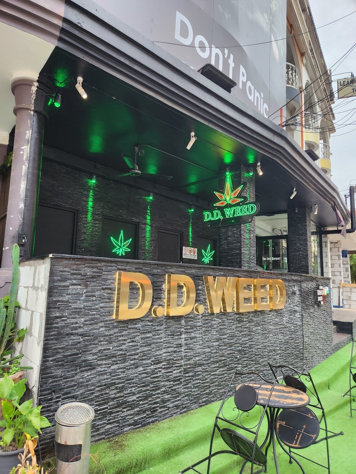 Ddweed International