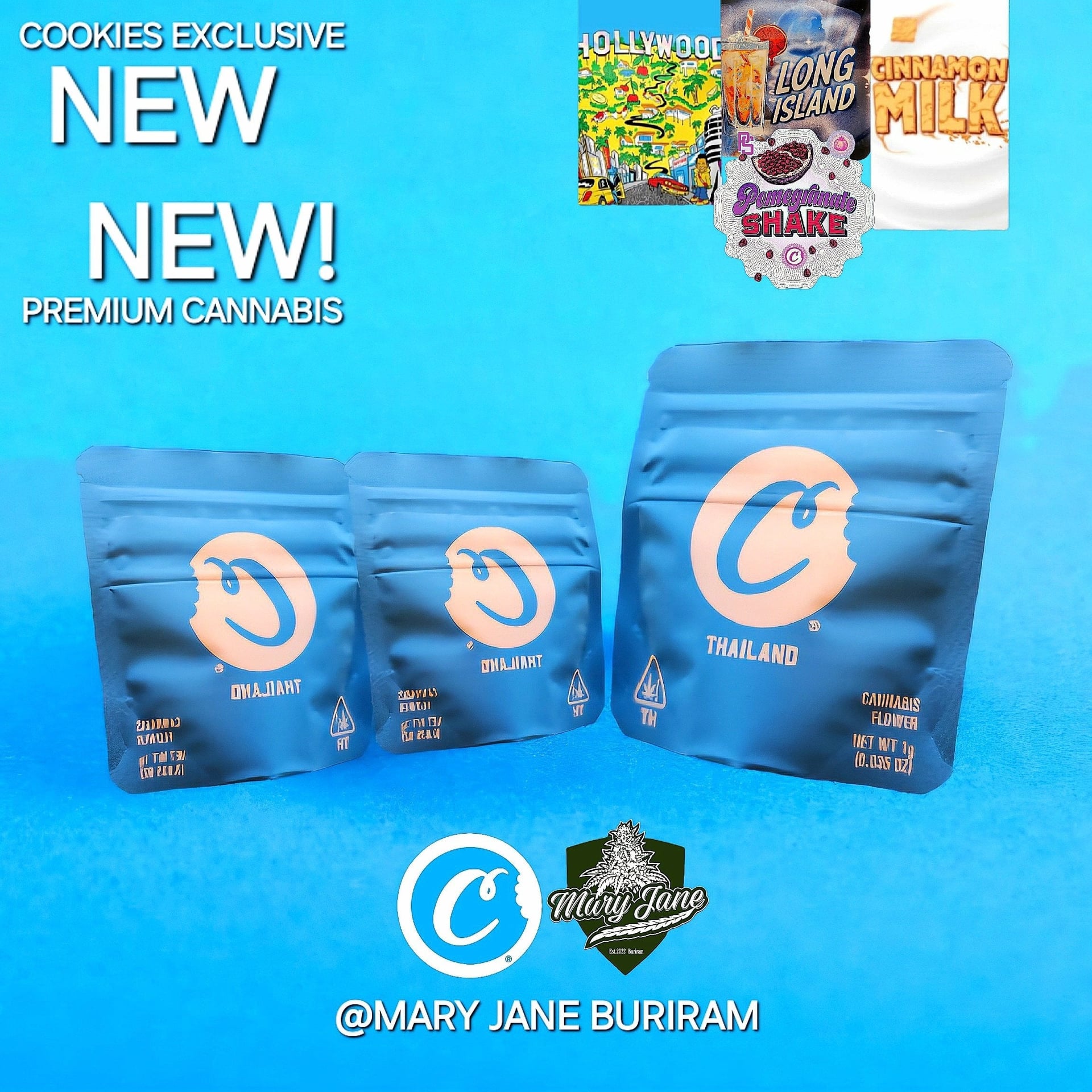 Mary Jane Buriram 1St Medical Cannabis Dispensary & Lounge In Buriram Ganja