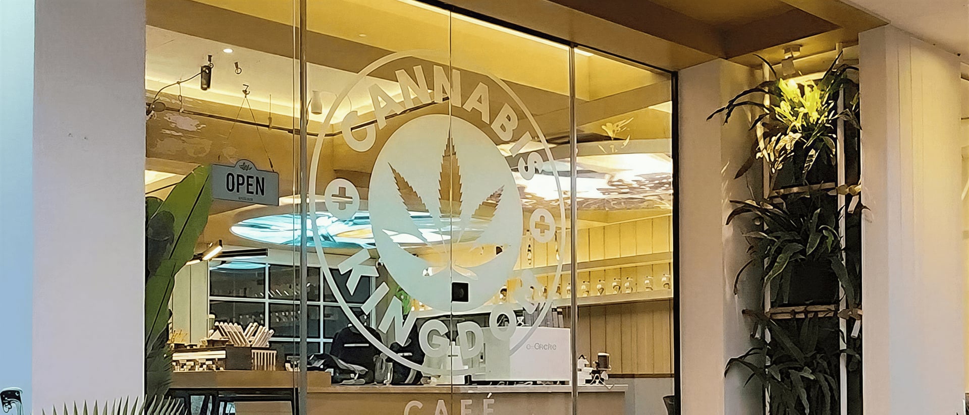Cannabis Kingdom hero