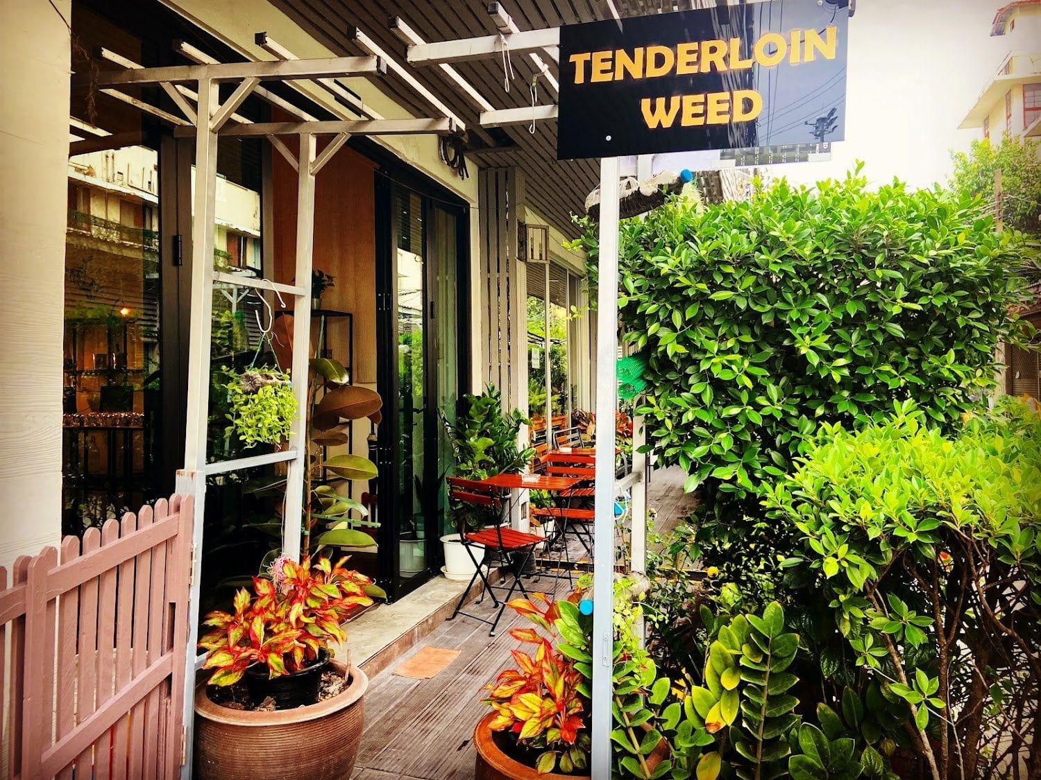 Tenderloin Weed Bangkok