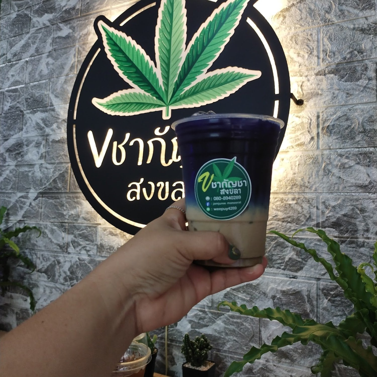 V & Coffee