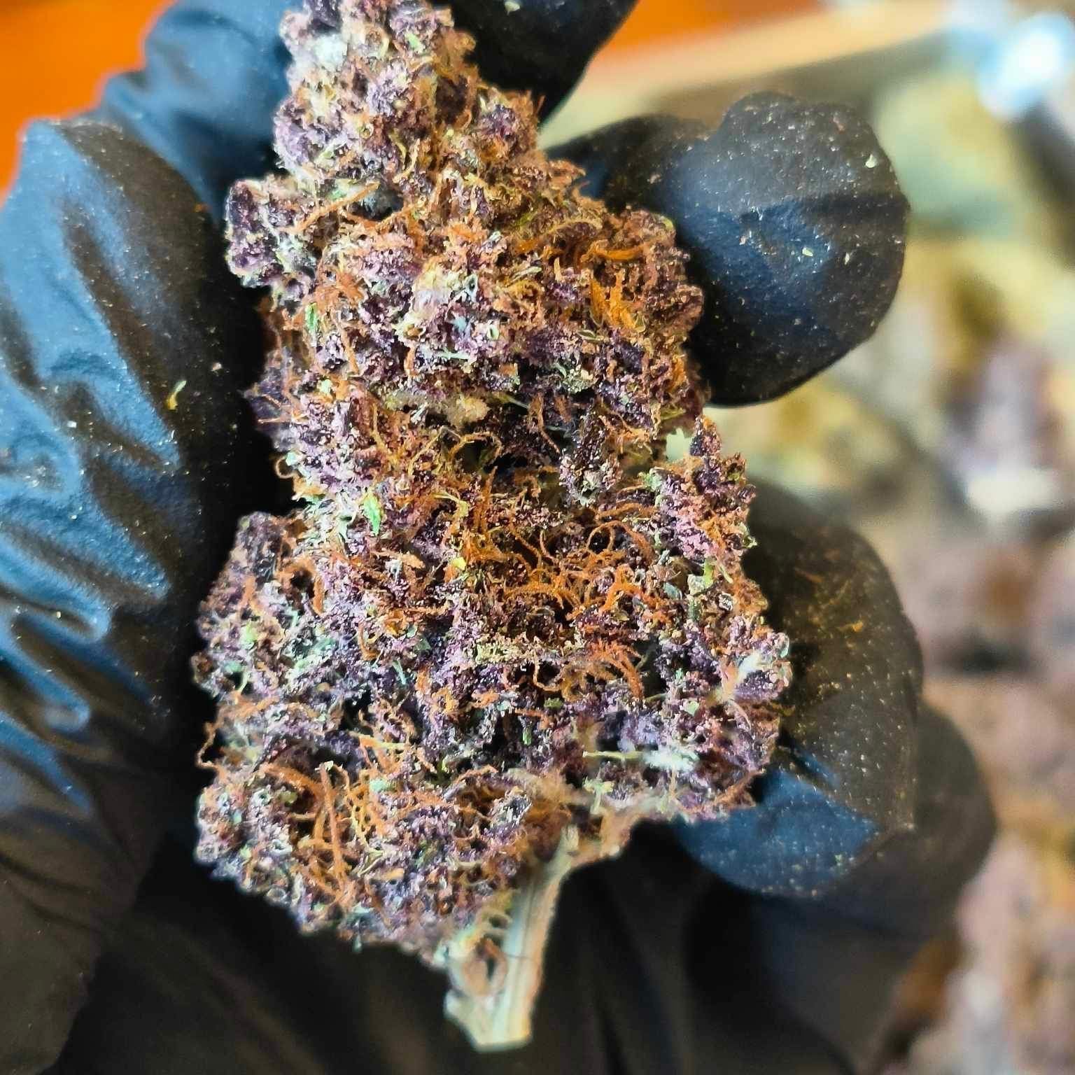 Let'S Get High CNX Branch2 Cannabis Store Marijuana Weed