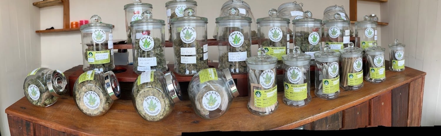 Organic Cannabis Farm