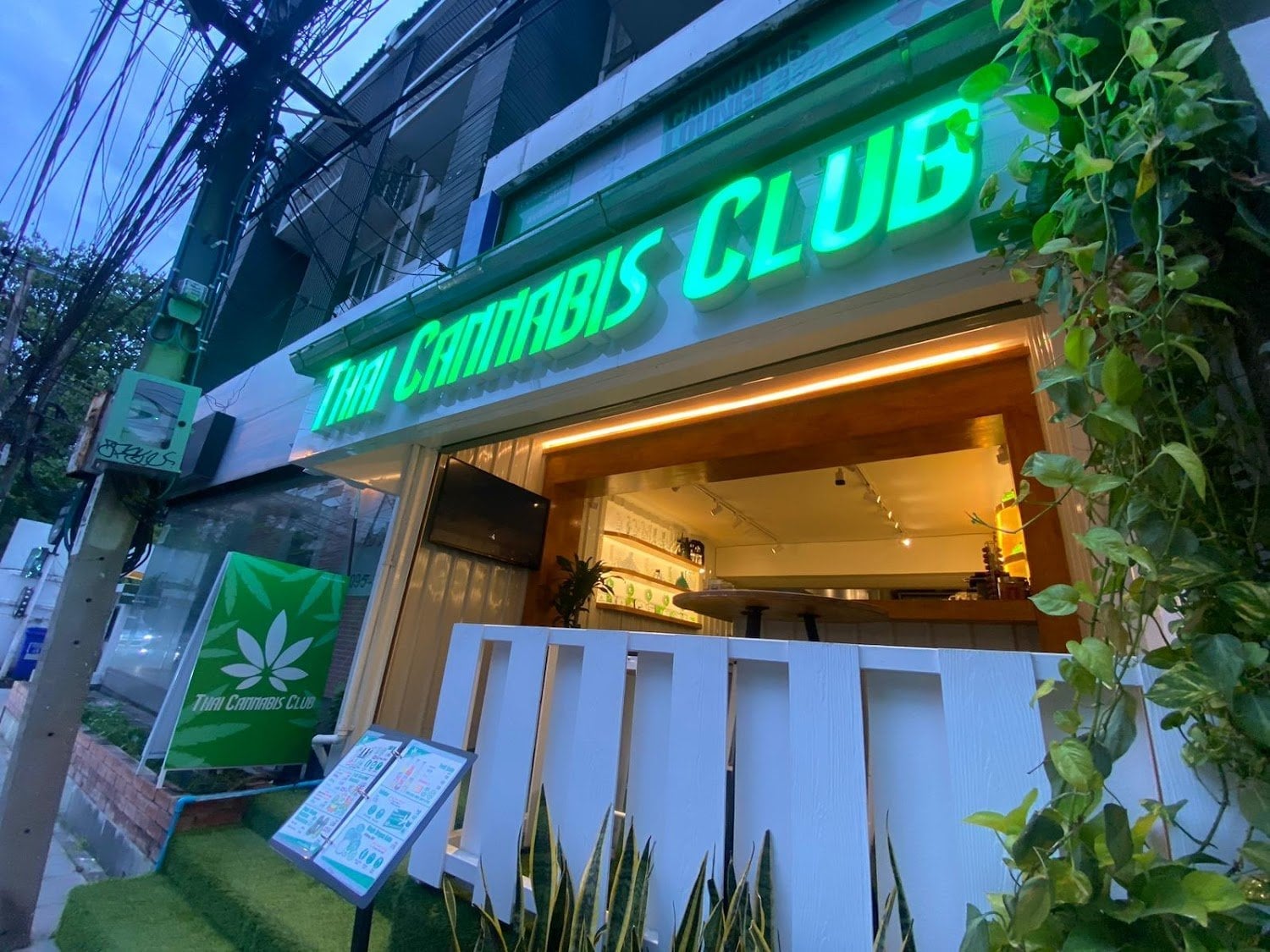 Thai Cannabis Club - Sukhumvit