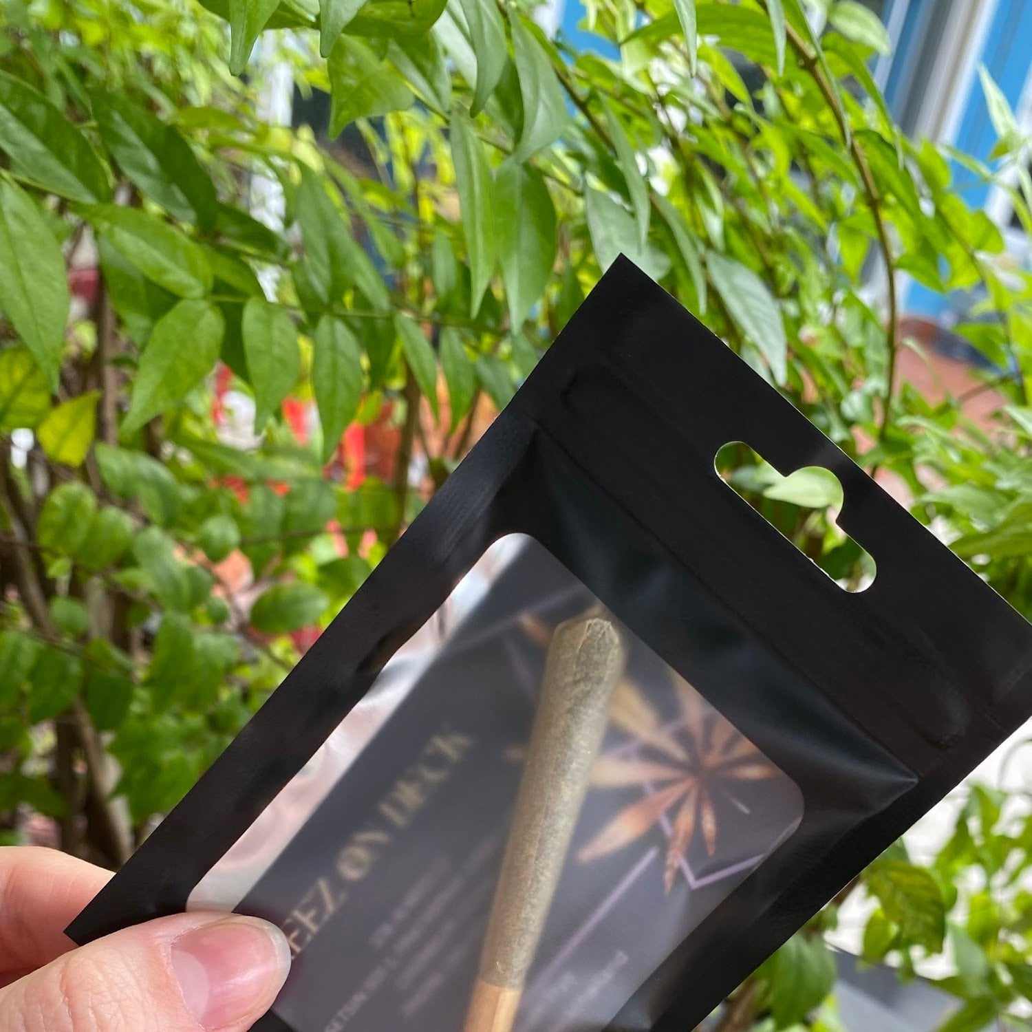 Treez On Deck Cannabis