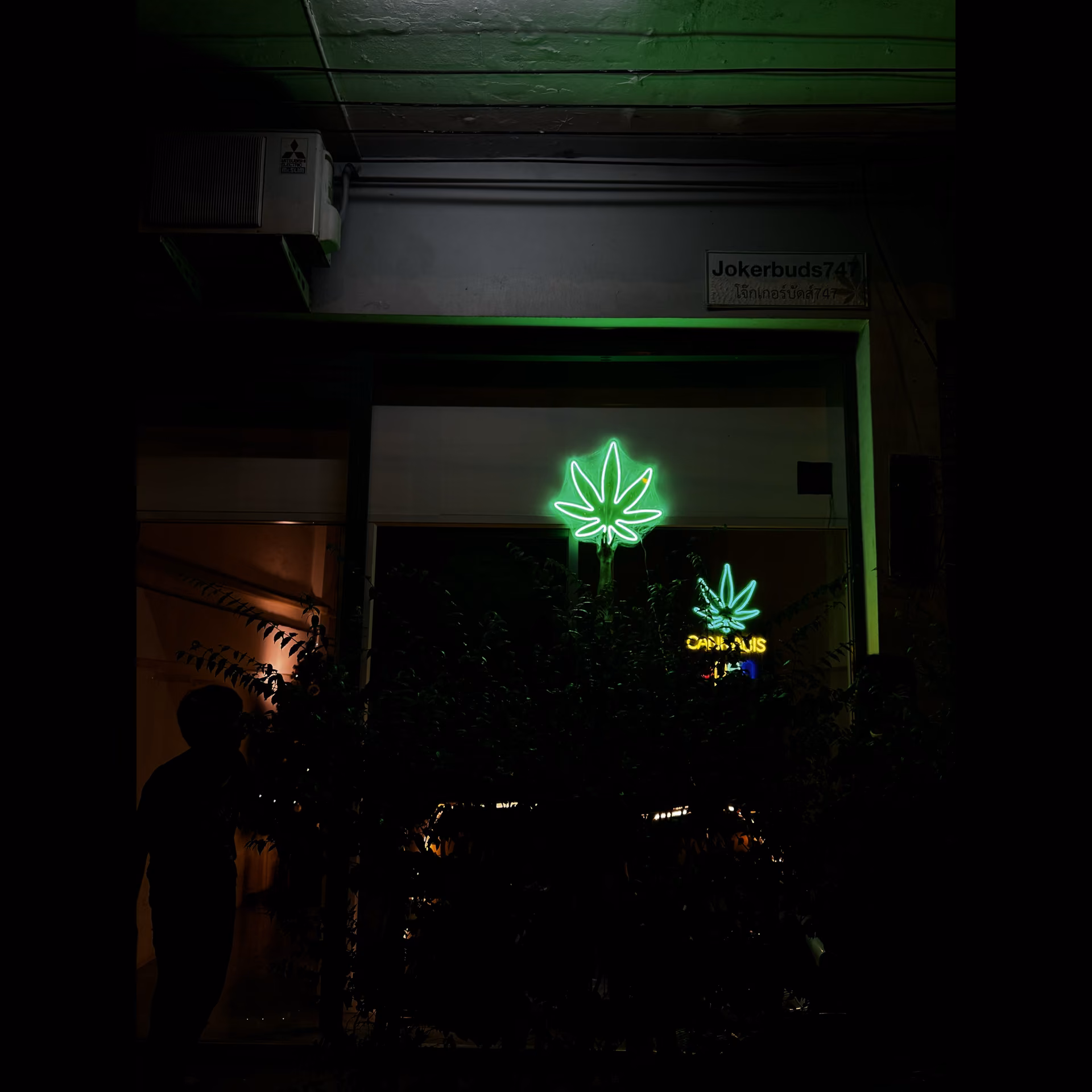 Cannabis Dispensary TOY Cannabis logo