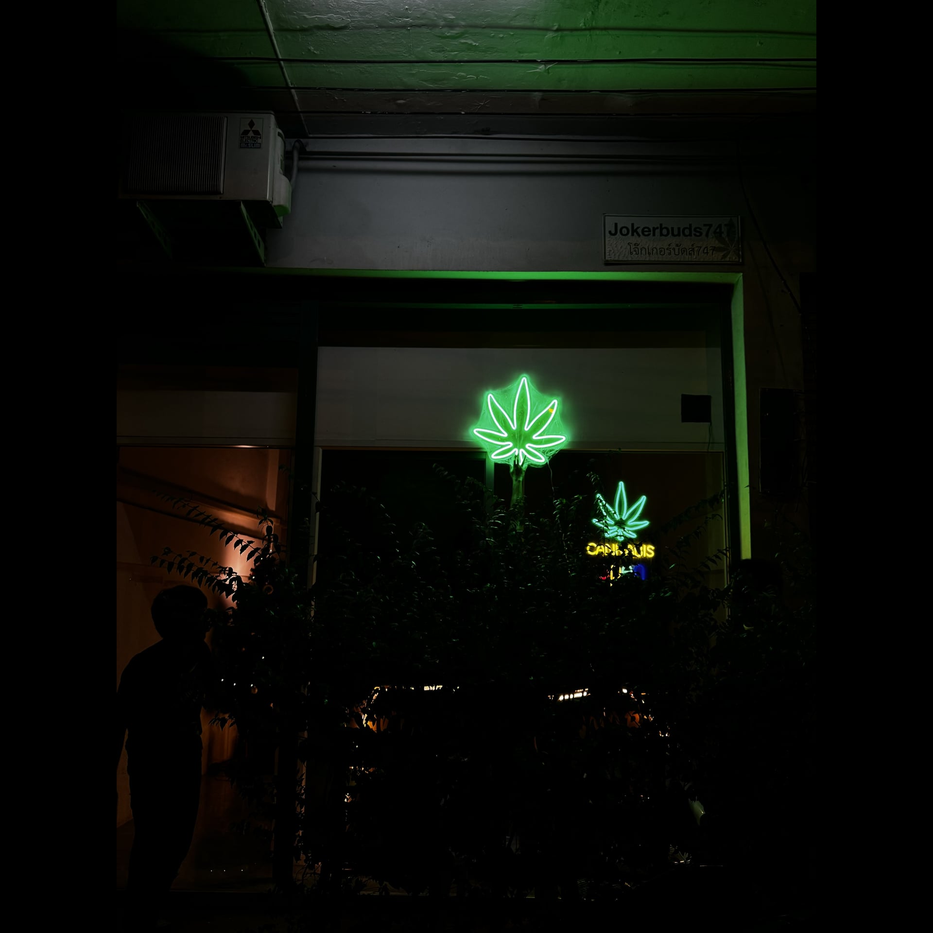 TOY Cannabis logo
