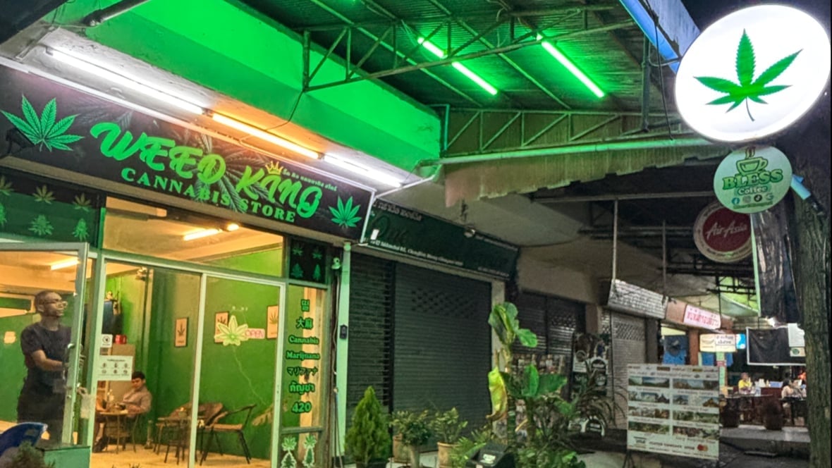 Weed King Cannabis Store Dispensary Marijuanas Edible