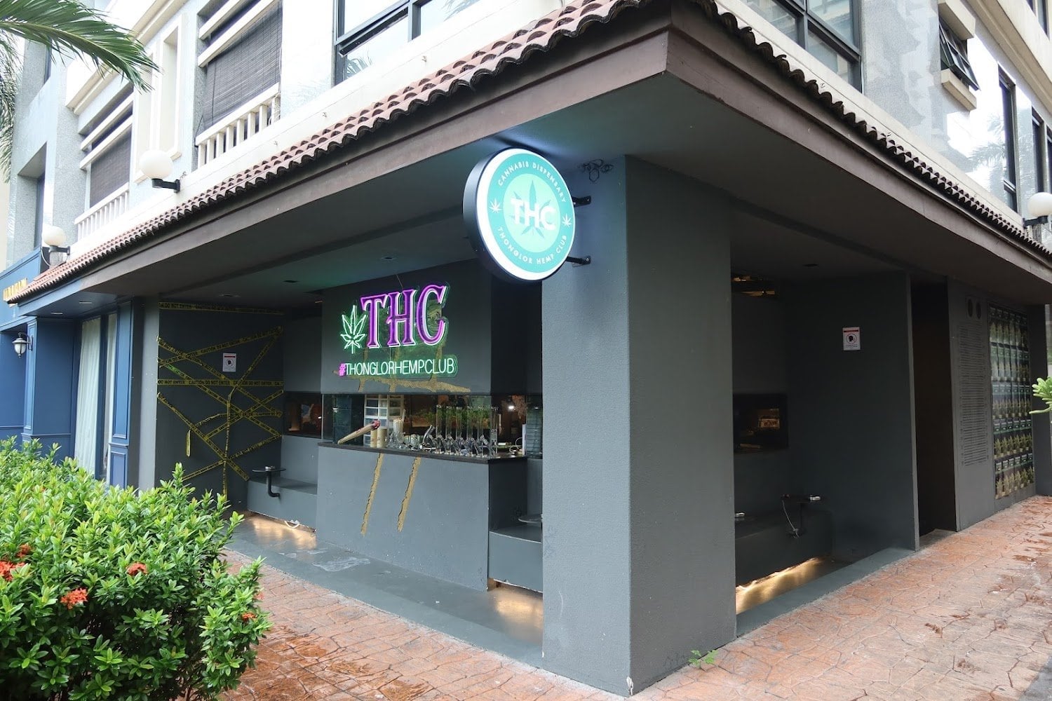 THC Thonglor Hemp