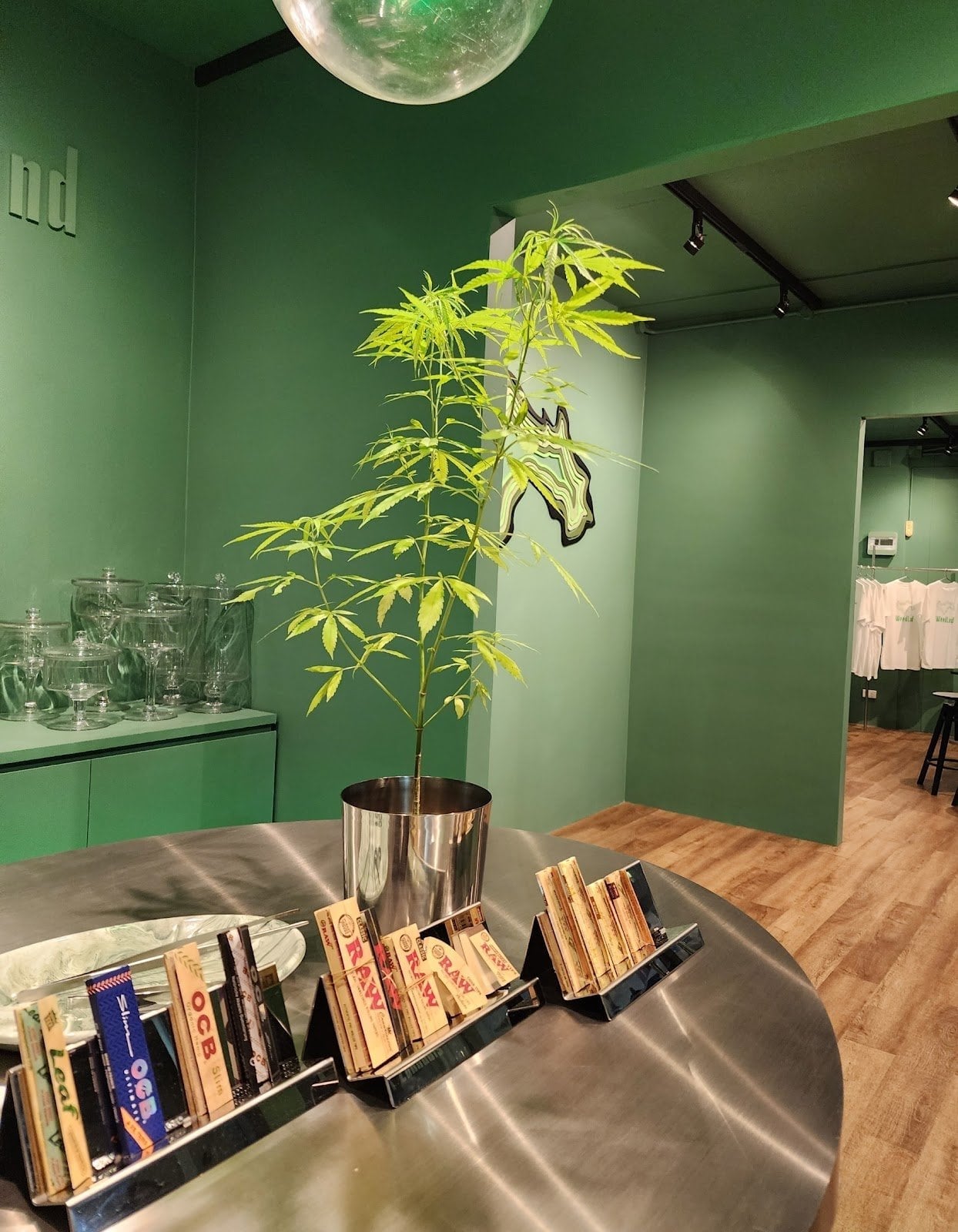 The WeedLand - Premium Cannabis