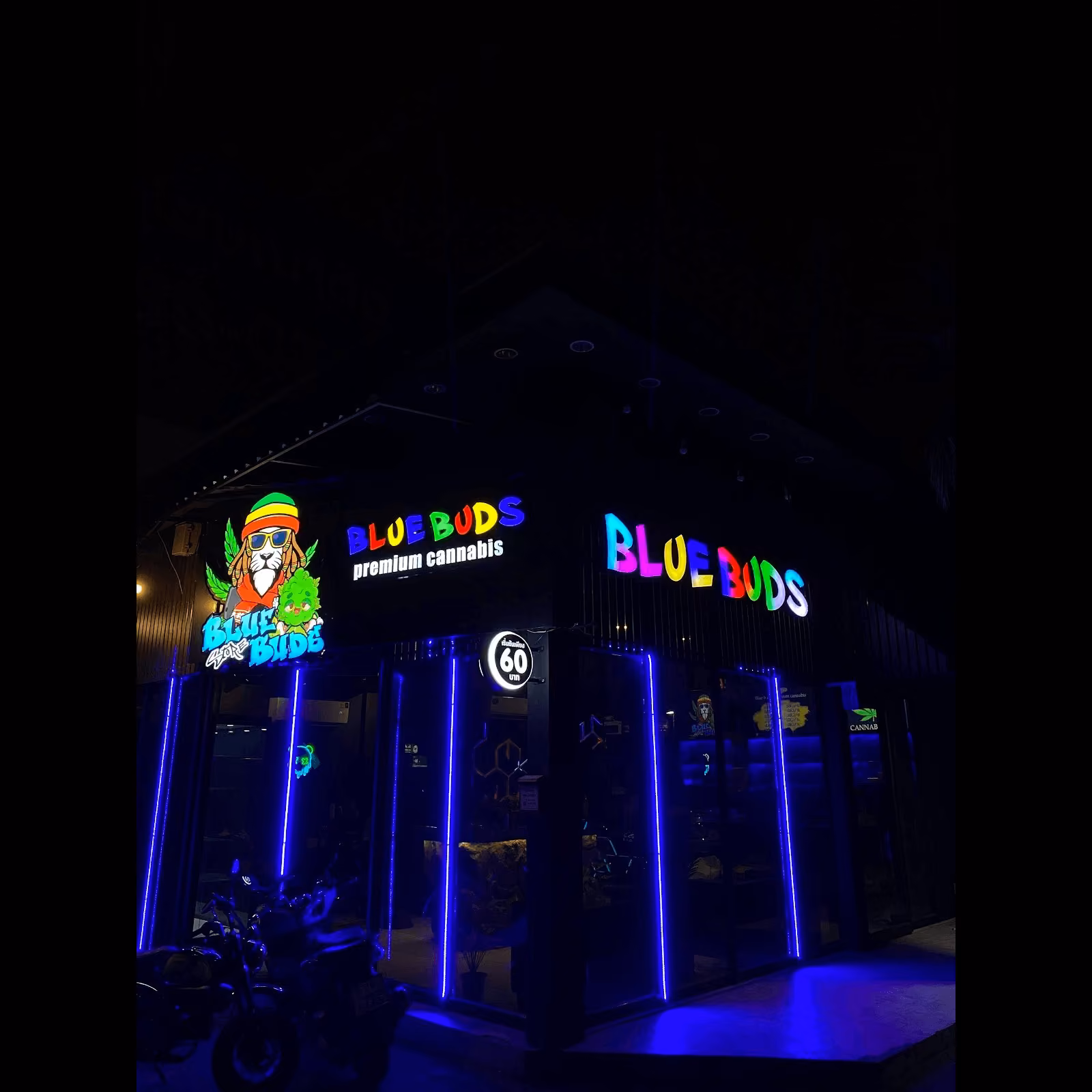 Cannabis Dispensary Bluebuds Store2 in Bangkok logo