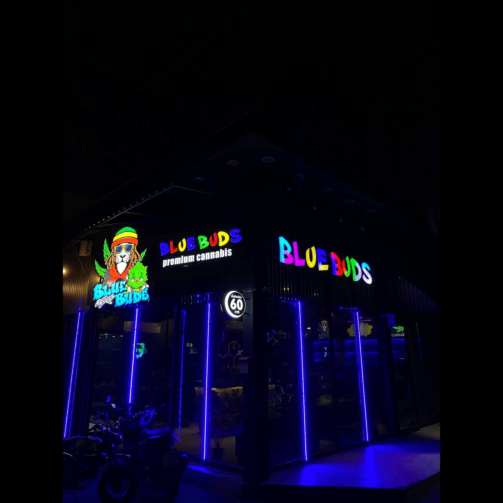 Bangkokの大麻ショップ Bluebuds Store2 ロゴ