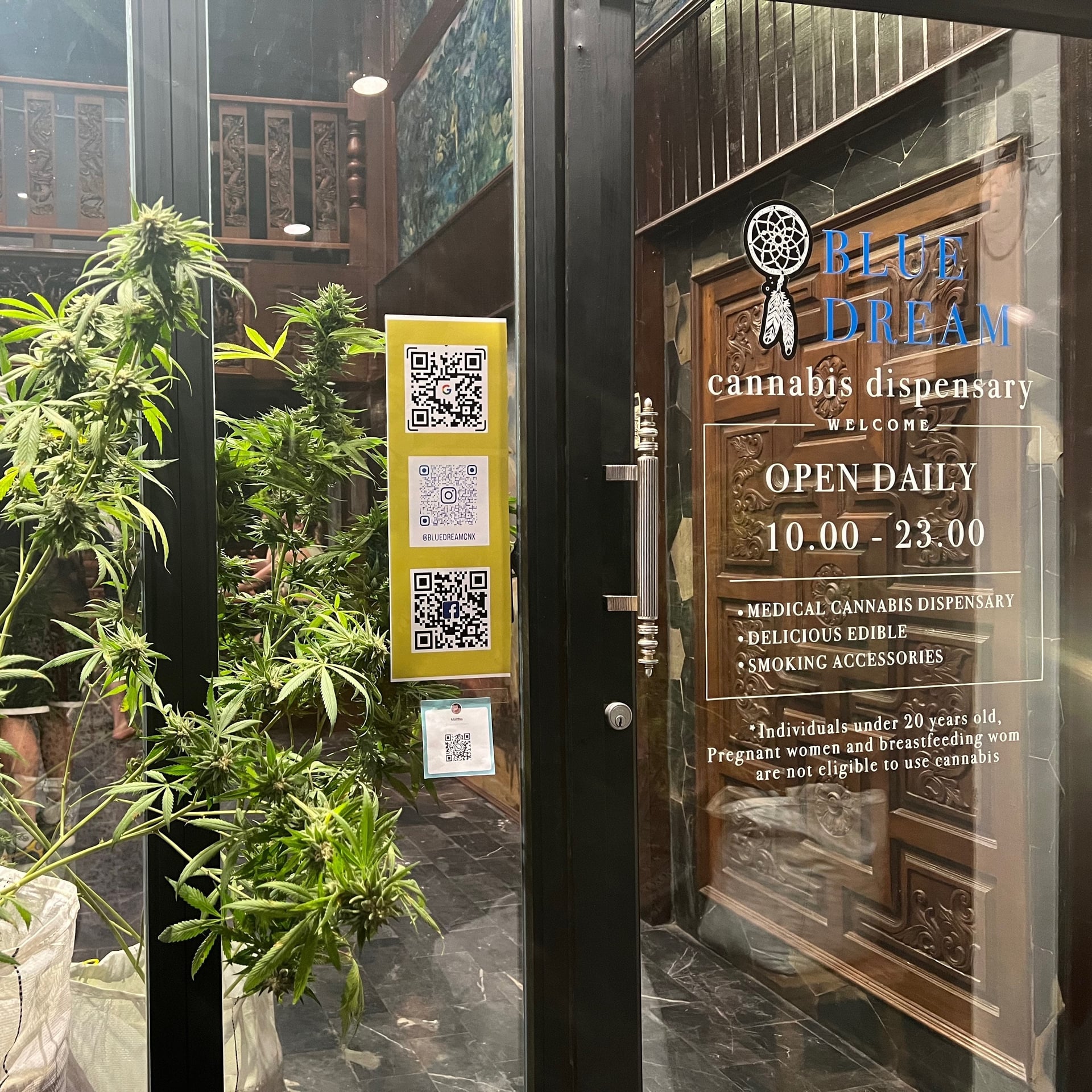 Blue Dream Cannabis Hotel