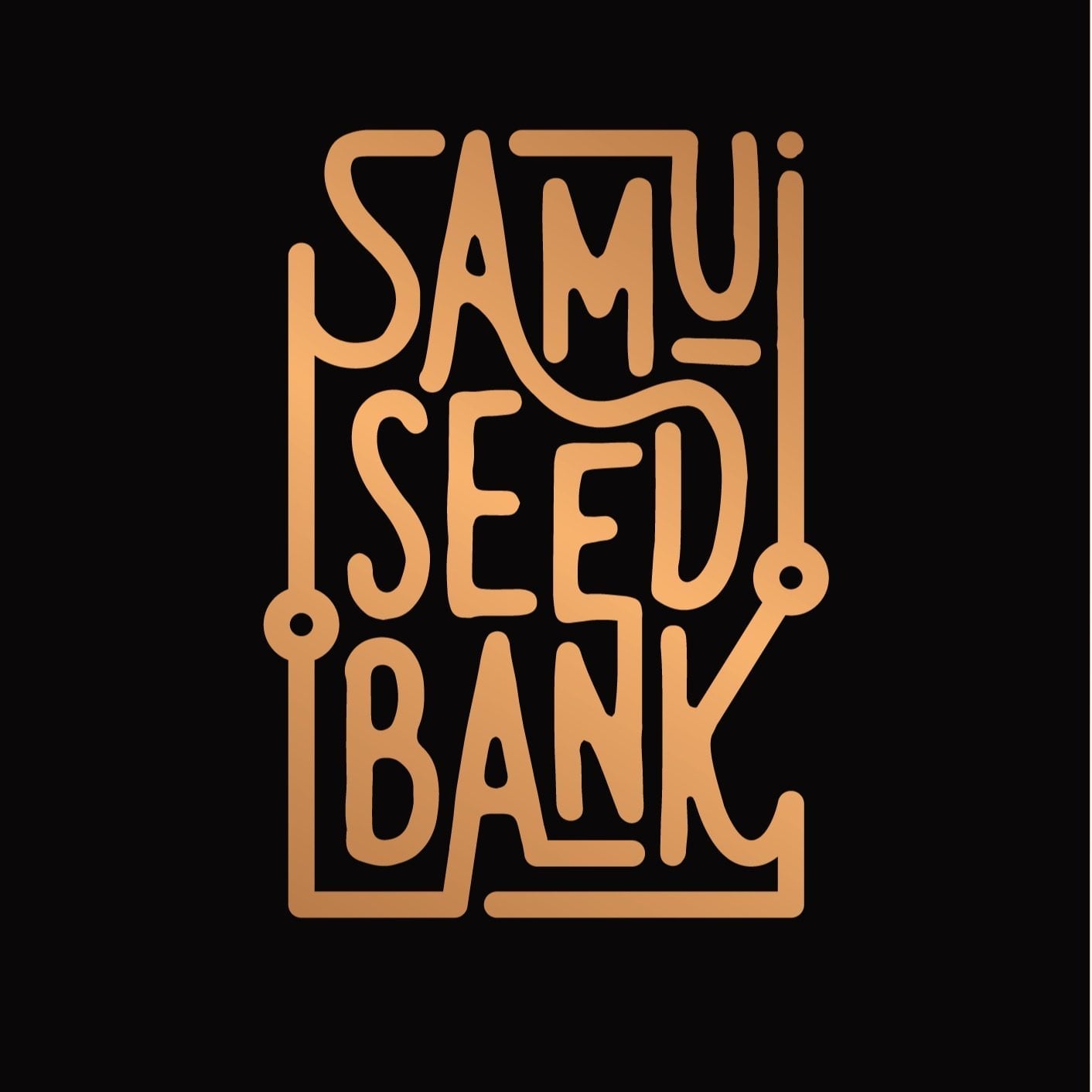 Cannabis Dispensary Samui Seed Bank in Ko Samui logo