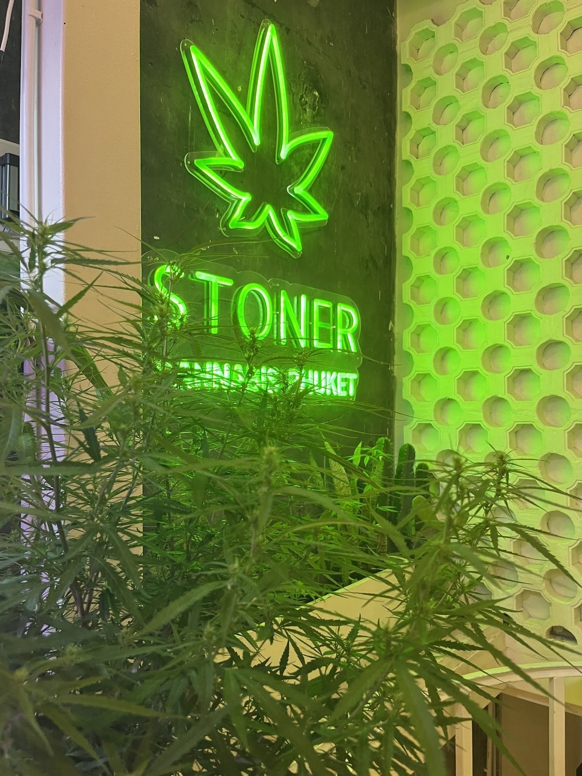 Stoner
