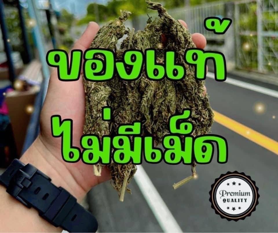Thaistick BKK
