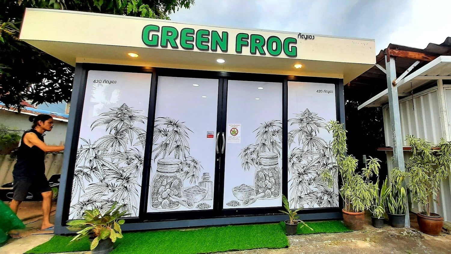 Green Frog