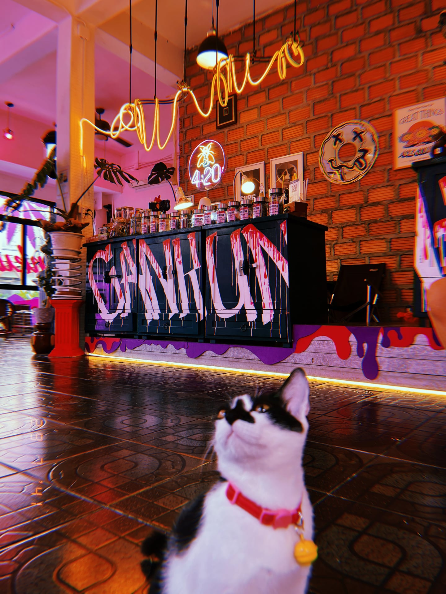 Cankuna Matata88