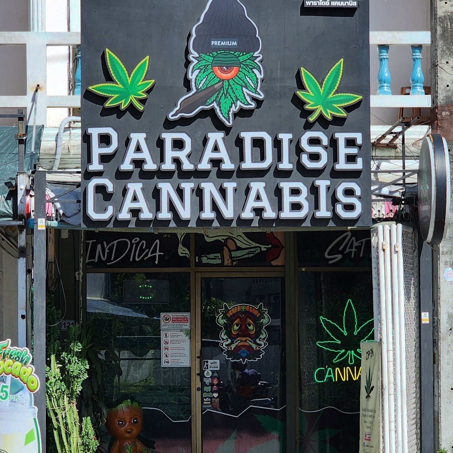 Paradise Cannabis Weed Marijuanas