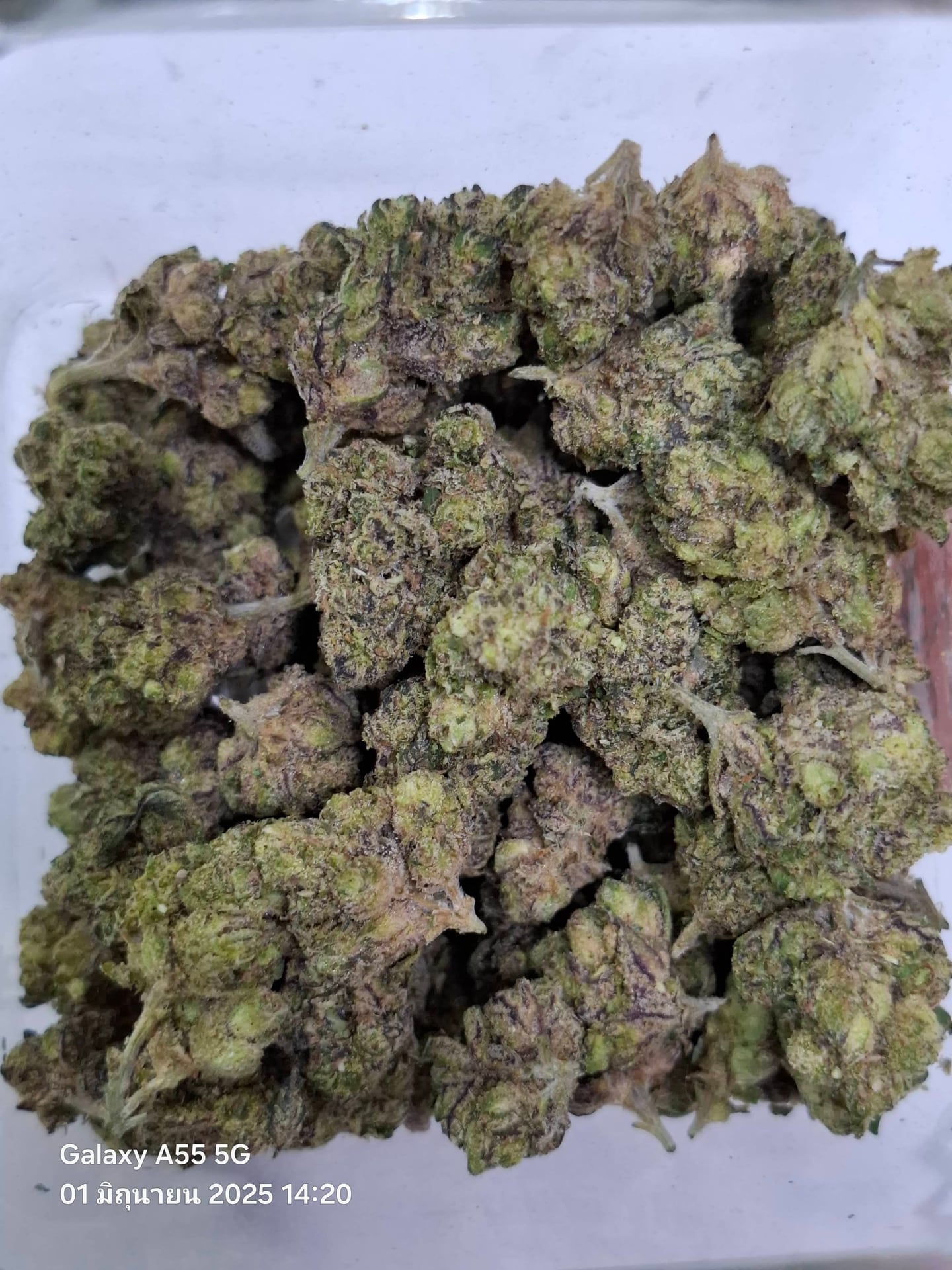 Marijuana MO