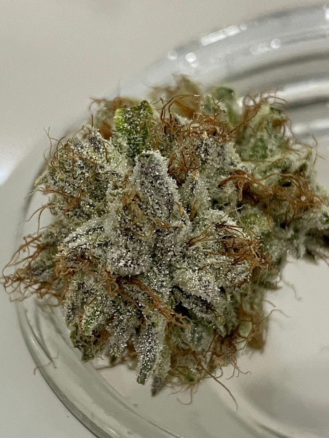 The Dank