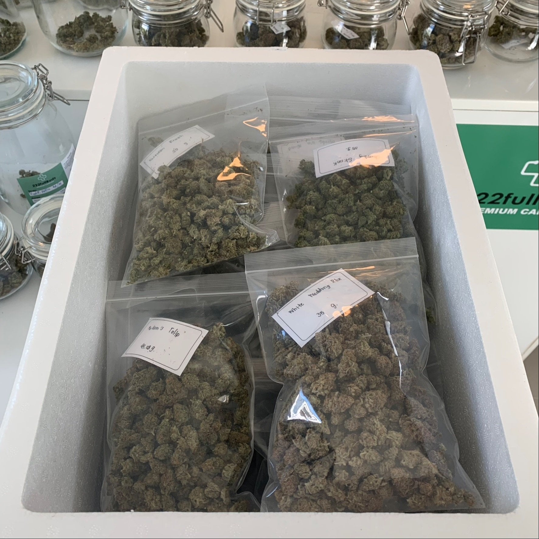 222fullBuds