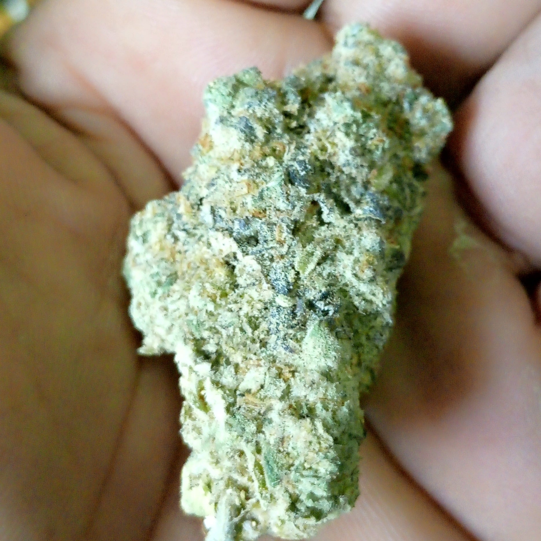 The Green Wizard