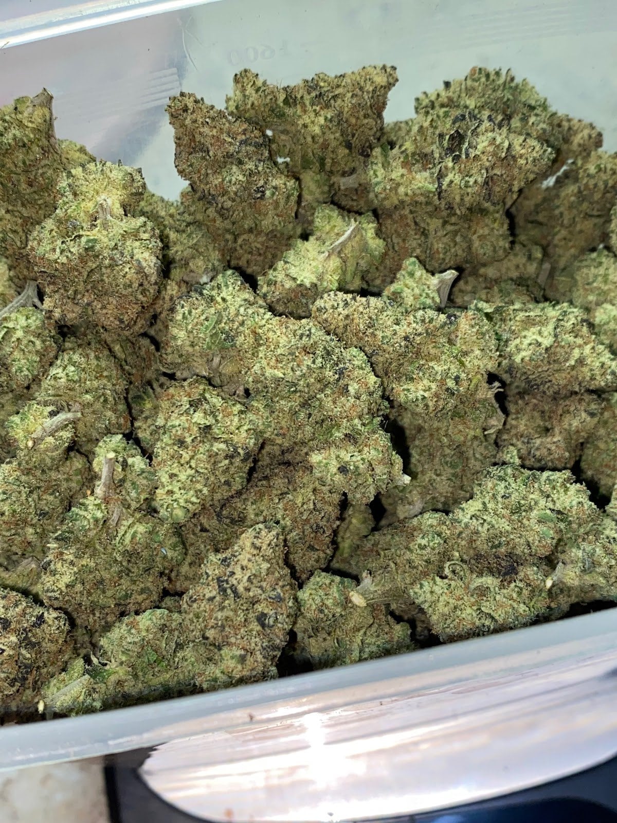 Pathumland Ganja