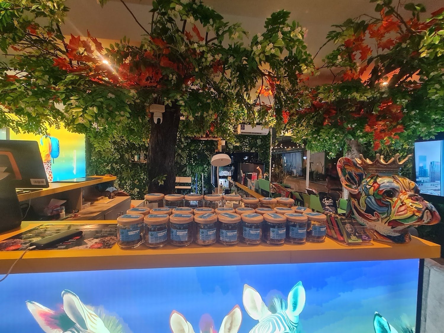 Starbuds Cannabis Pattaya Beach